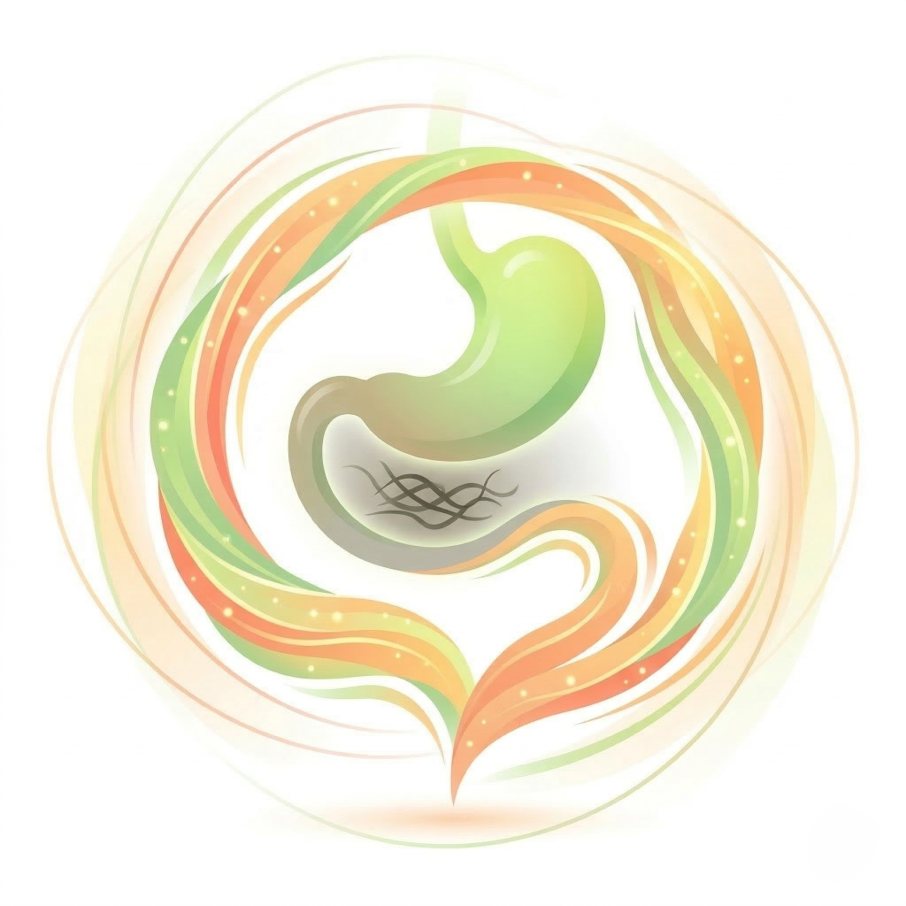 멈춰버린 위장의 펌프질
4단계로 되살립니다